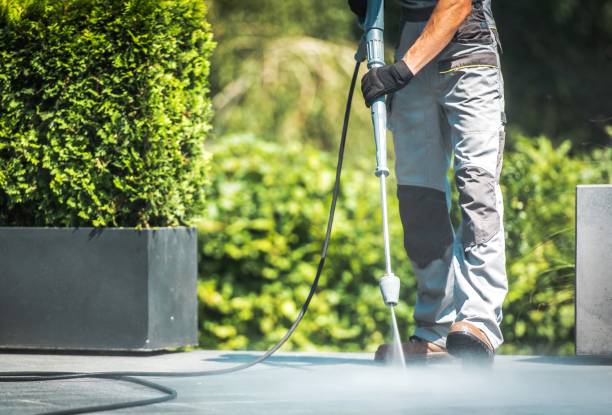 Best House Exterior Washing  in Middlesex, NC